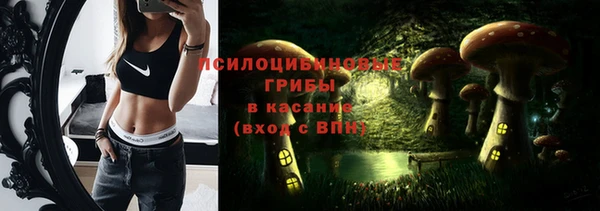 крисы Валдай