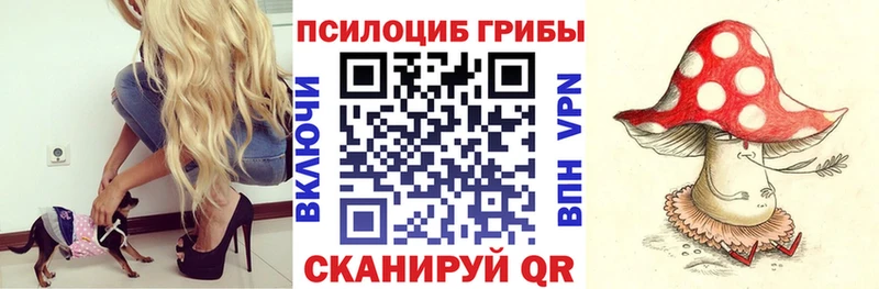 ссылка на мегу маркетплейс  наркотики  Ленинградская  Псилоцибиновые грибы прущие грибы 